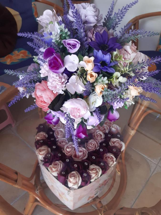 Vila Karla 艾福雷诺德 外观 照片